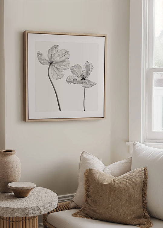 Póster Tulipa