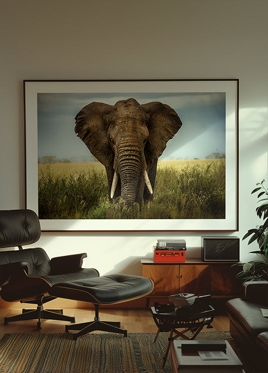 Encontros no Serengeti