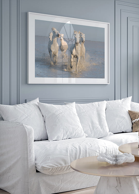 Póster cavalos