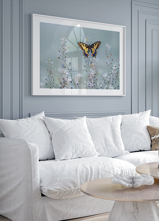 Beleza rabo de andorinha