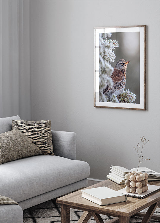 Póster Fieldfare em um cenário de inverno