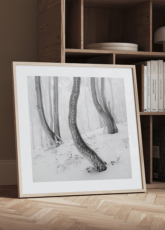 Cartazes de Floresta Congelada