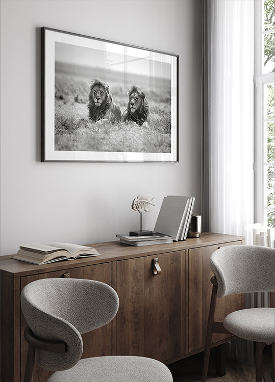 Pôster de dois reis