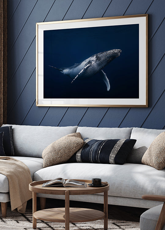 Póster Baleia jubarte em azul