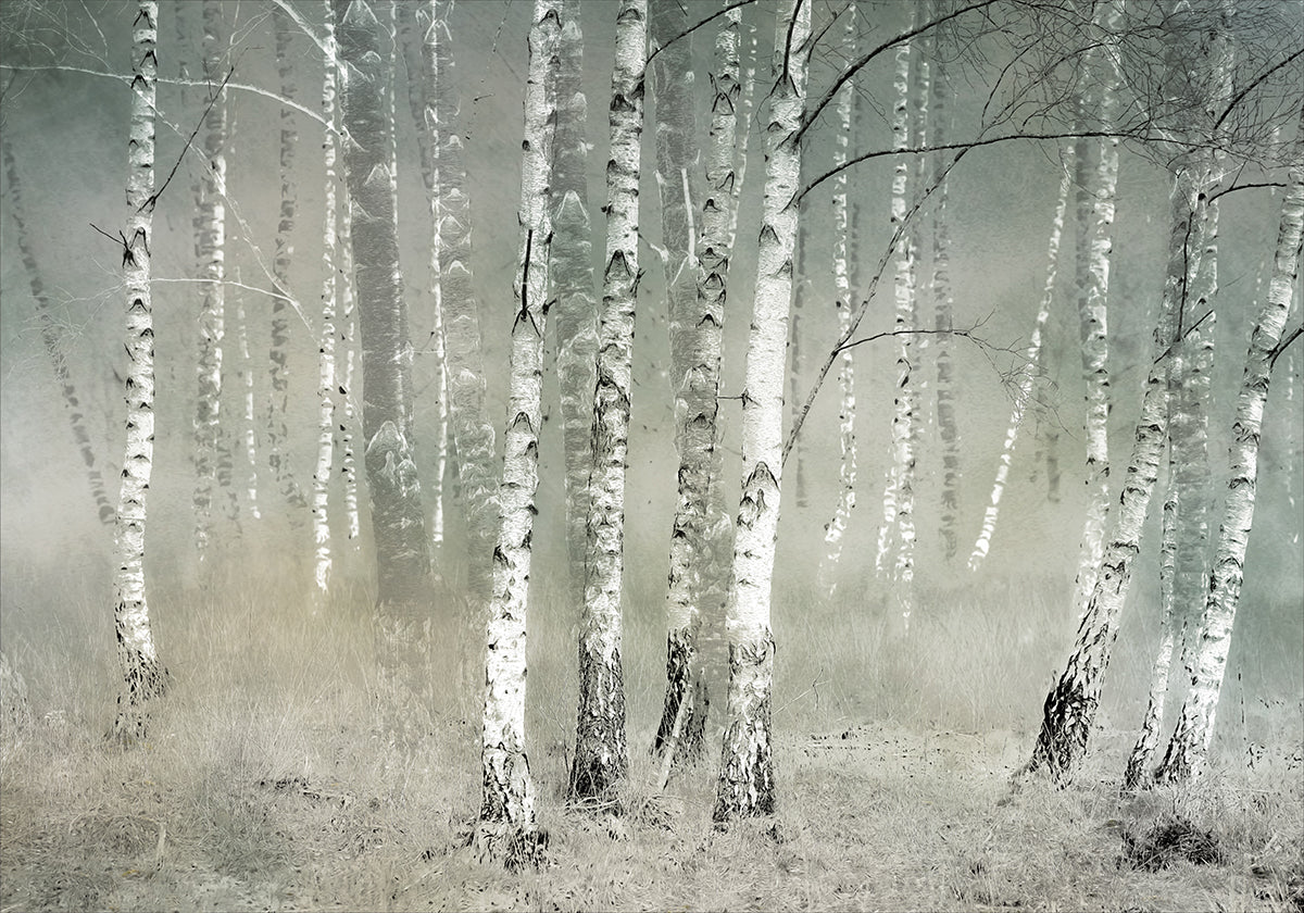 Morning silence  Plakat - Posterbox