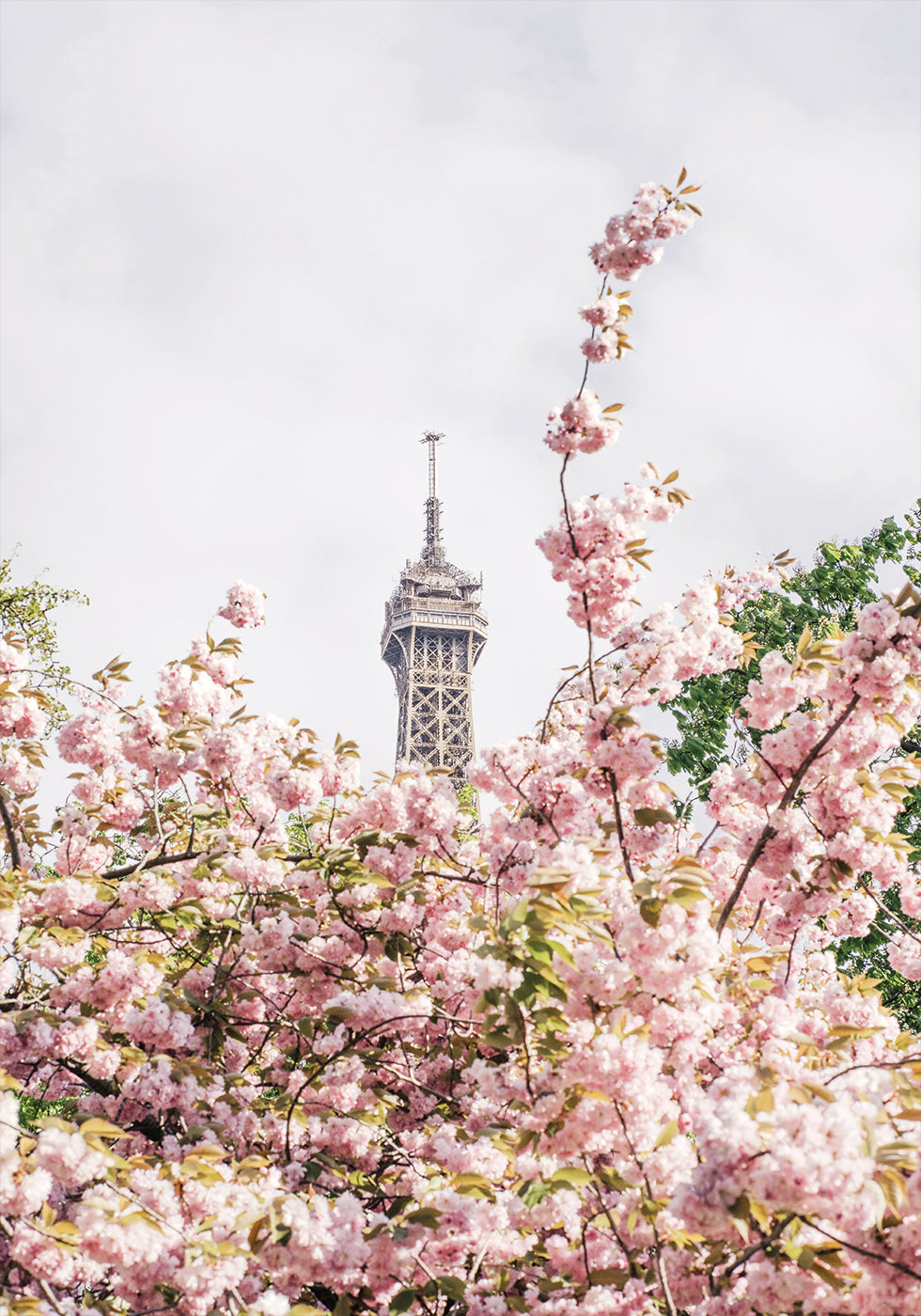 Cartaz de Paris 