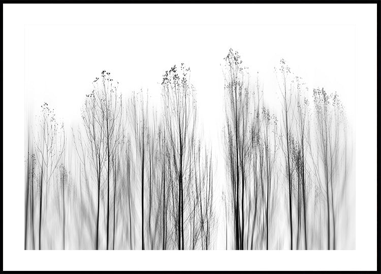 No Grounds - Posterbox