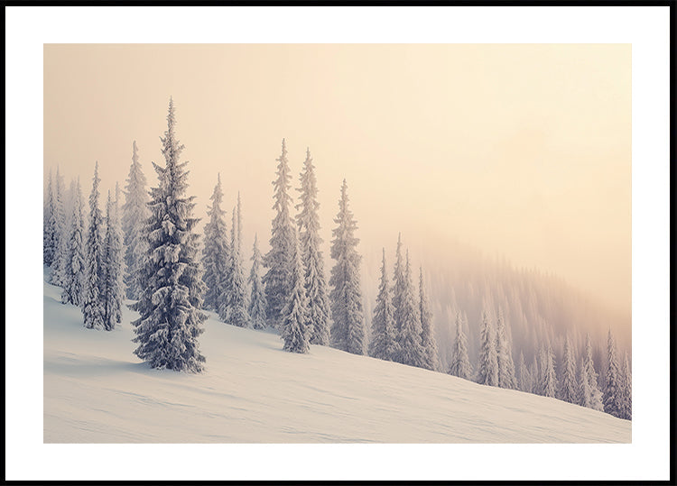 Winter Landscape Snowy Pines Plakat - Posterbox