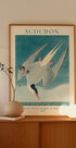 Arctic Tern from Birds of America Audubon Plakat - Posterbox.dk