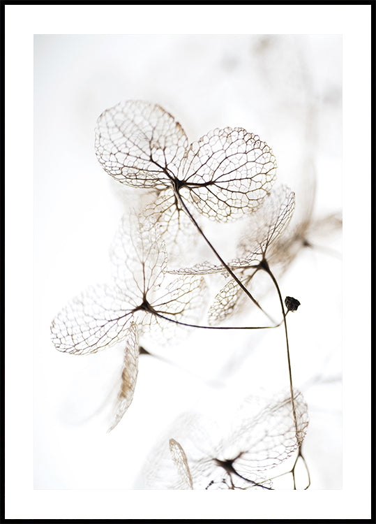 Autumn Dried Leaves №3 Plakat - Posterbox.dk