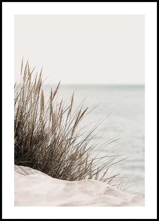 Grass by the Sea Plakat - Posterbox.dk