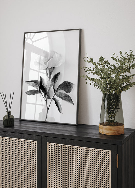 Peony B&W Plakat - Posterbox.dk