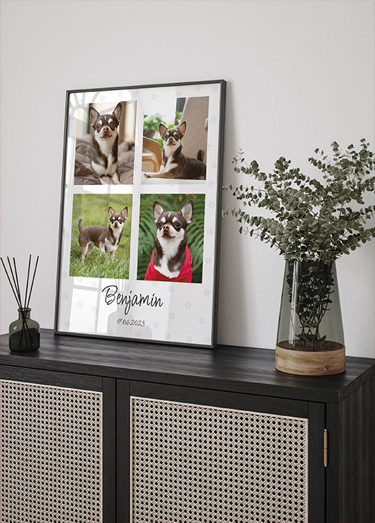Equipa de Colagem de Fotografias de Animais - Posterbox