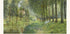 Rest Along The Stream Impressionist Forest, Alfred Sisley 1878 Plakat - Posterbox.dk