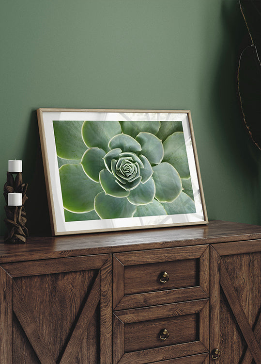 Succulent Spiral Plakat - Posterbox.dk