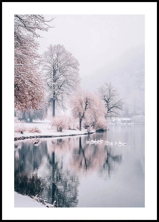 Swans on a Winter Lake Plakat - Posterbox.dk