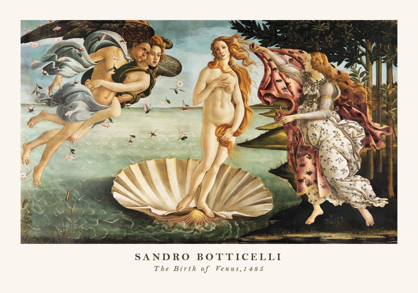 The Birth of Venus Plakat - Posterbox.dk