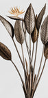 Vintage Bird of Paradise Plakat - Posterbox.dk