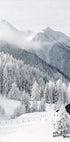Winter Fairy Tale in the Alps Plakat - Posterbox.dk