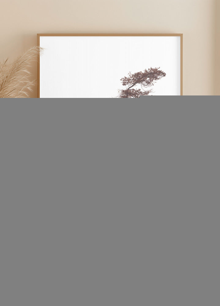 Póster Pinhos Esculturais