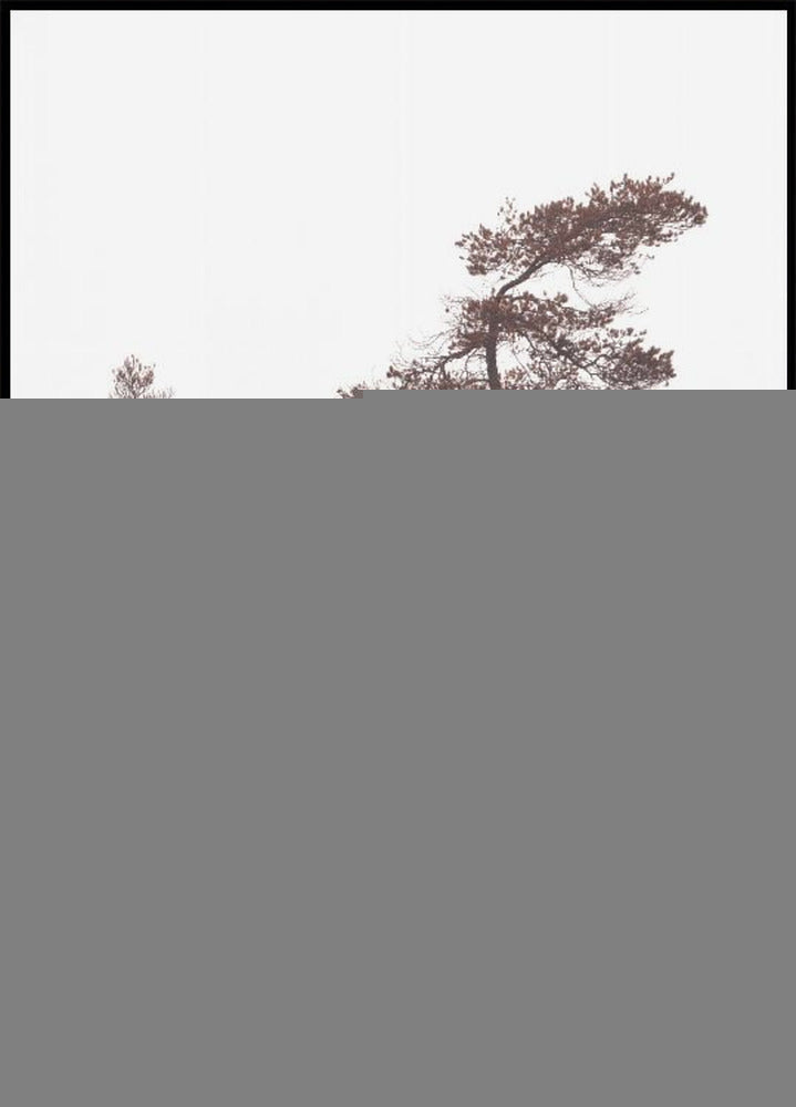 Póster Pinhos Esculturais