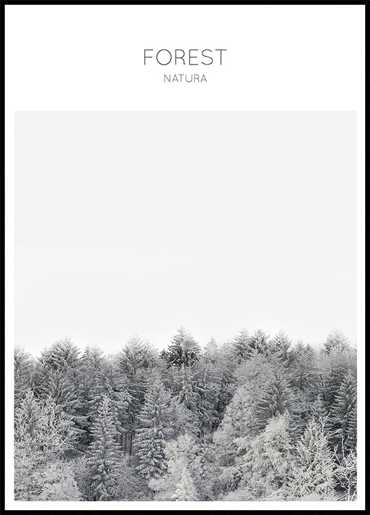 Frosted Tranquility Plakat - Posterbox