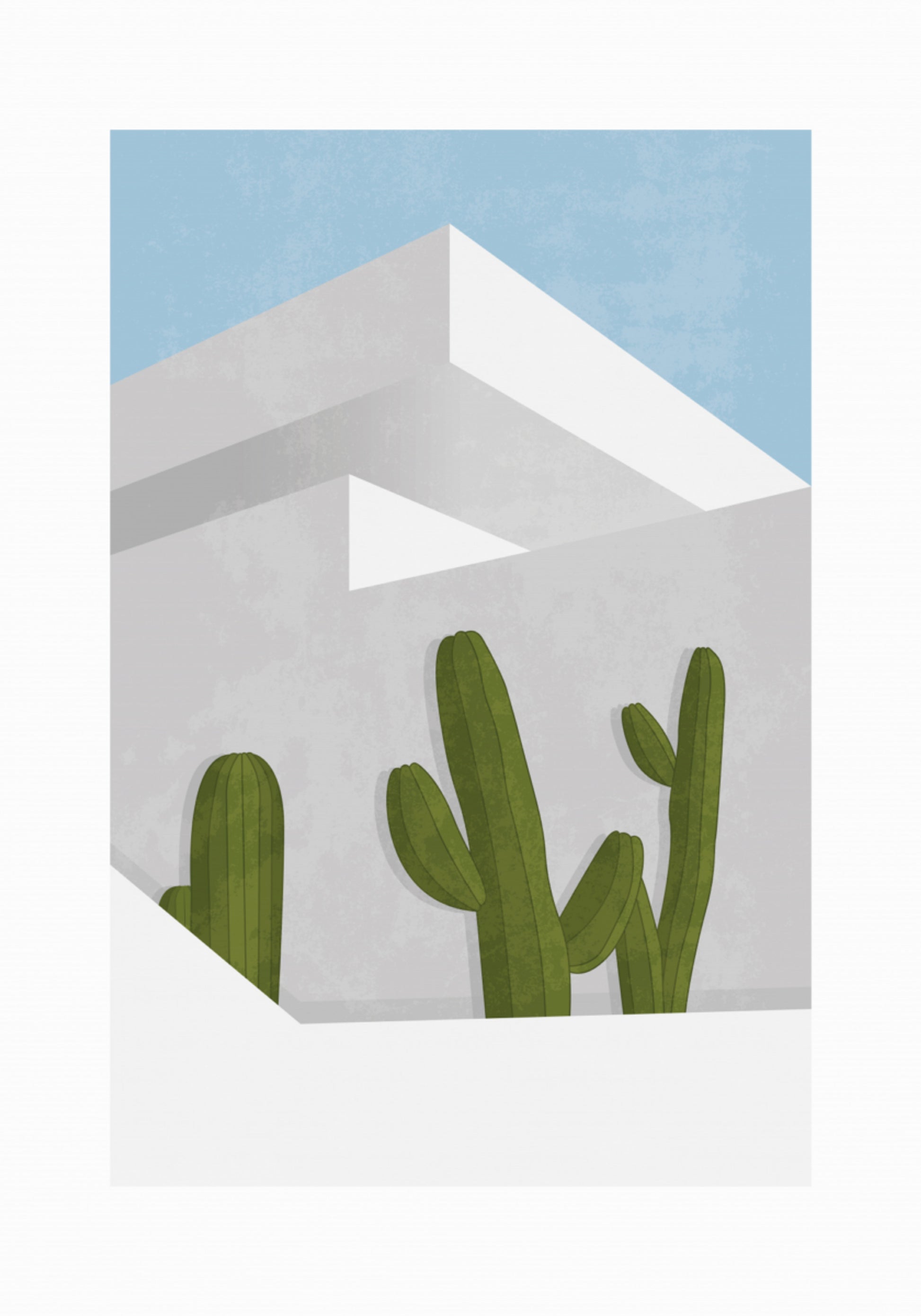 Cactos minimalistas do deserto