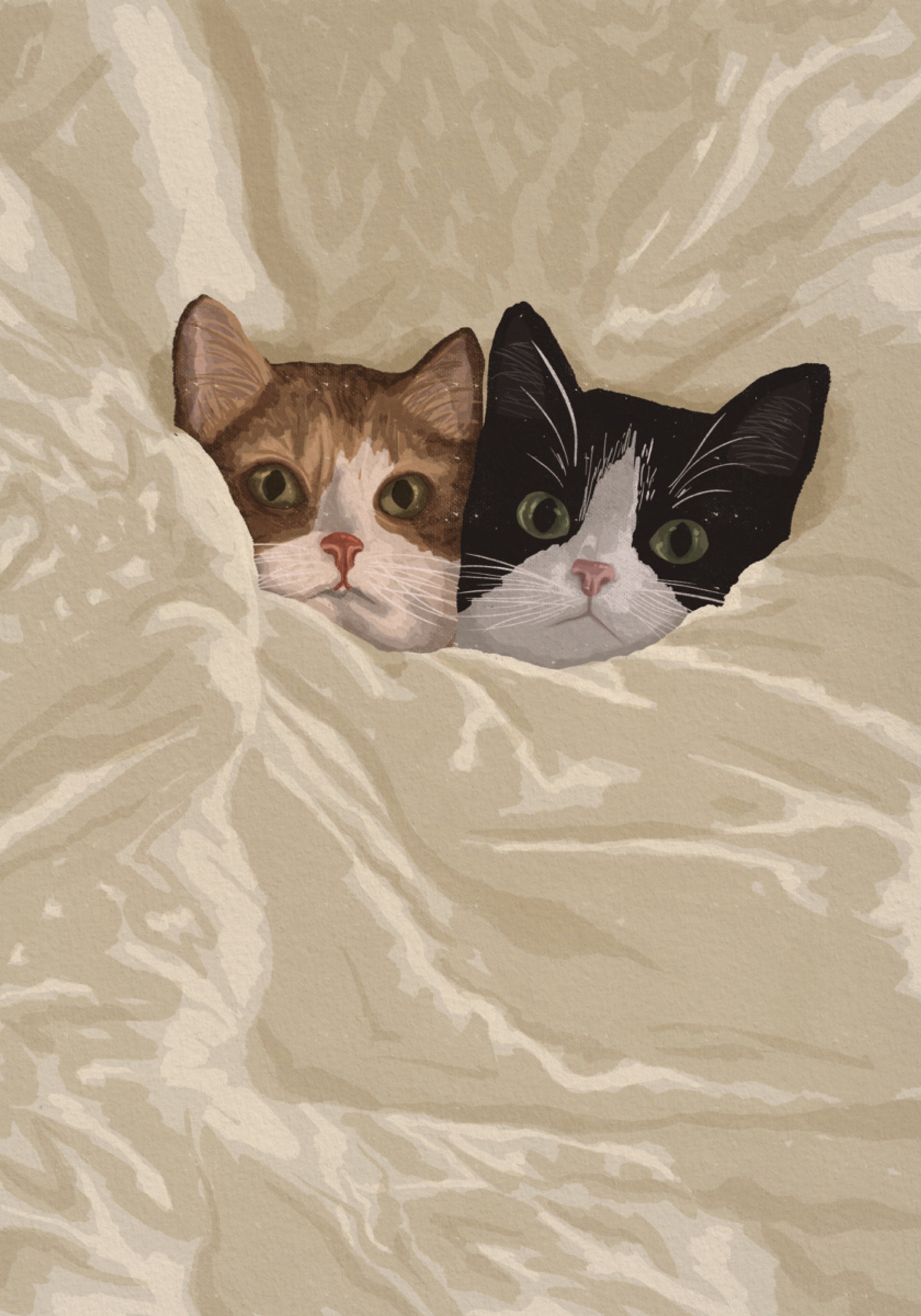 Gatos aconchegantes espreitando