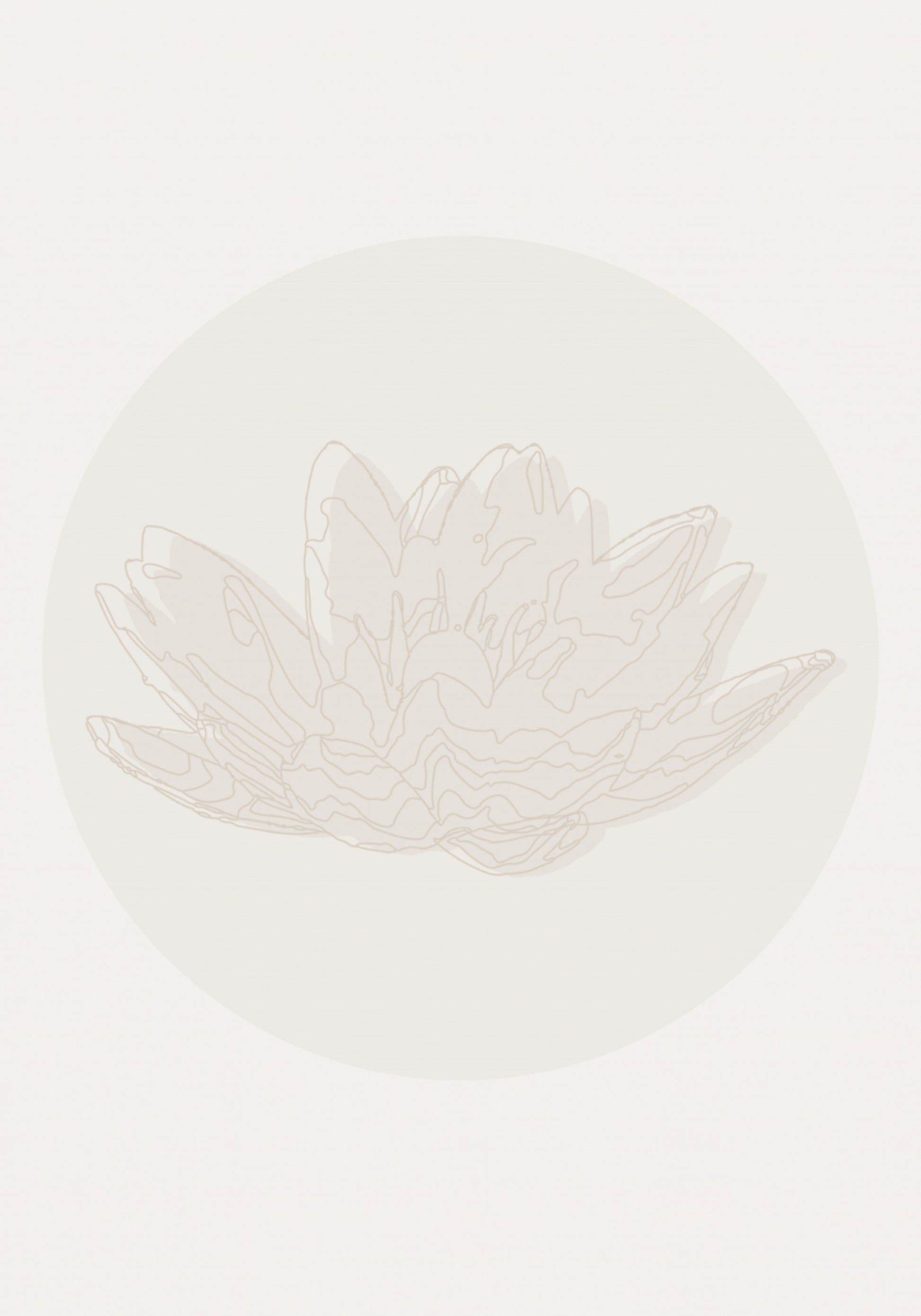 Flor de Lótus Serena
