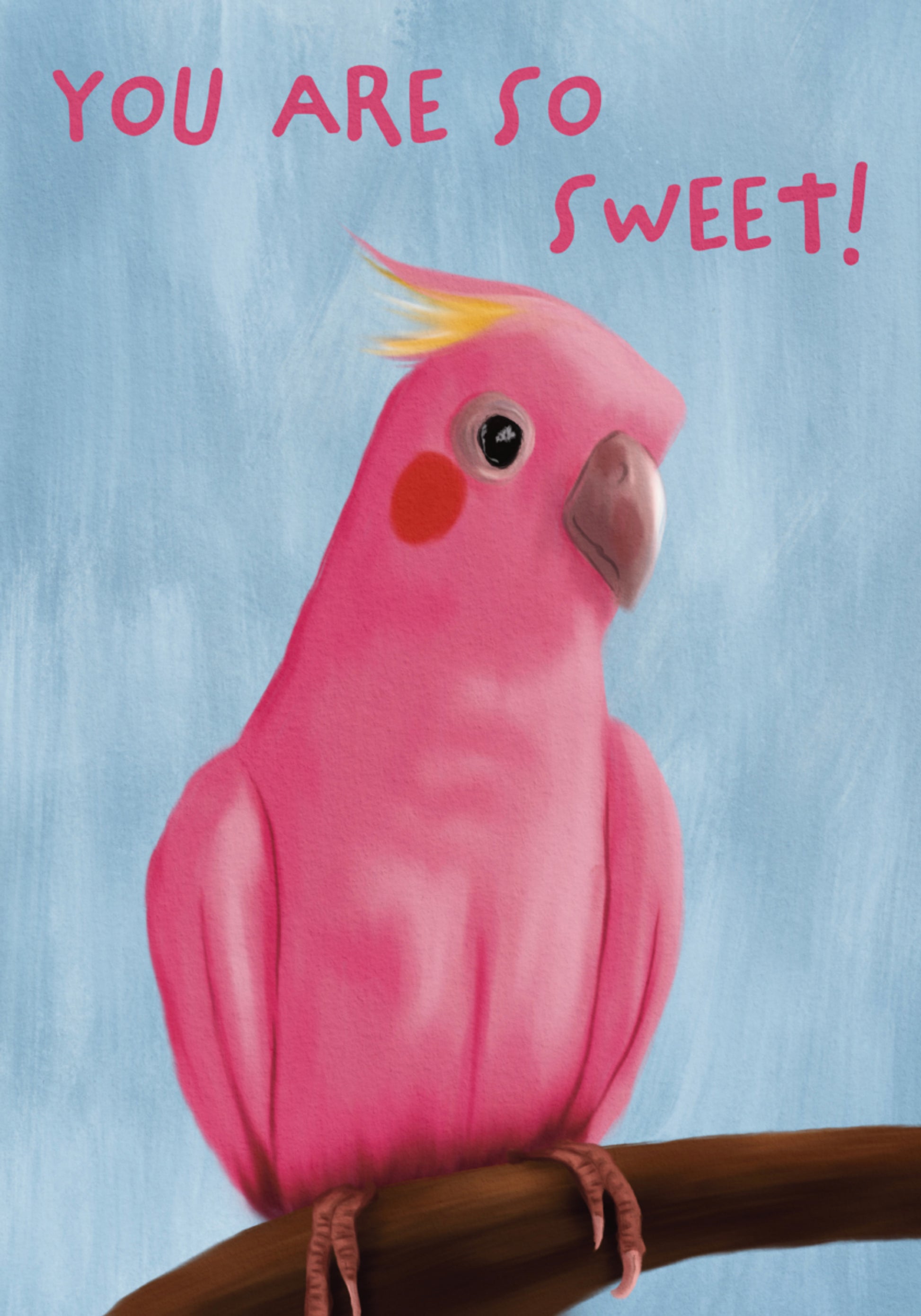 Galah rosa doce