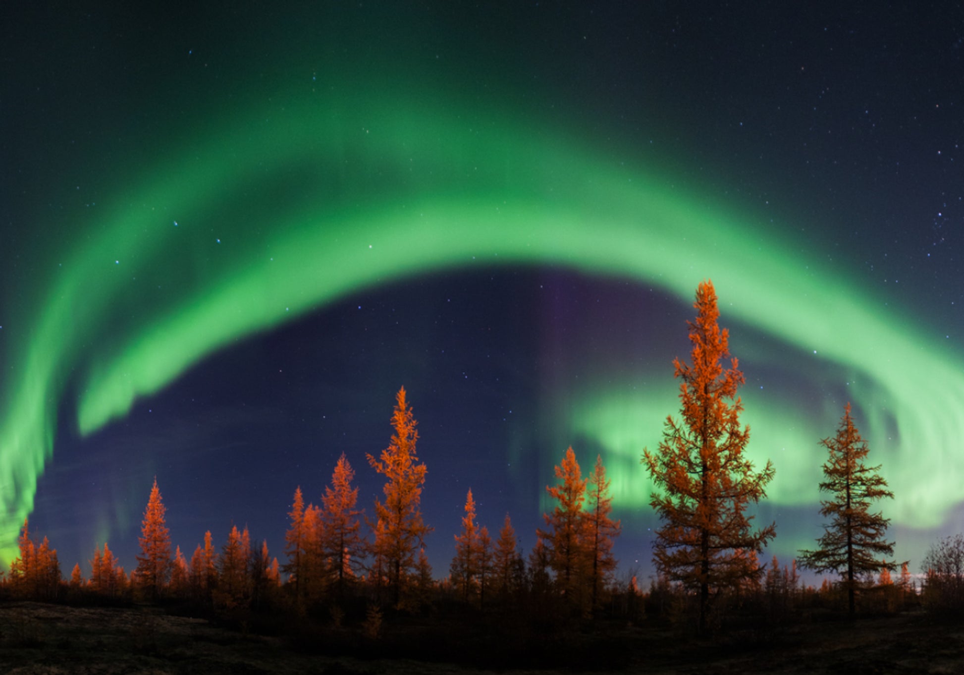 Céu noturno vibrante da Aurora