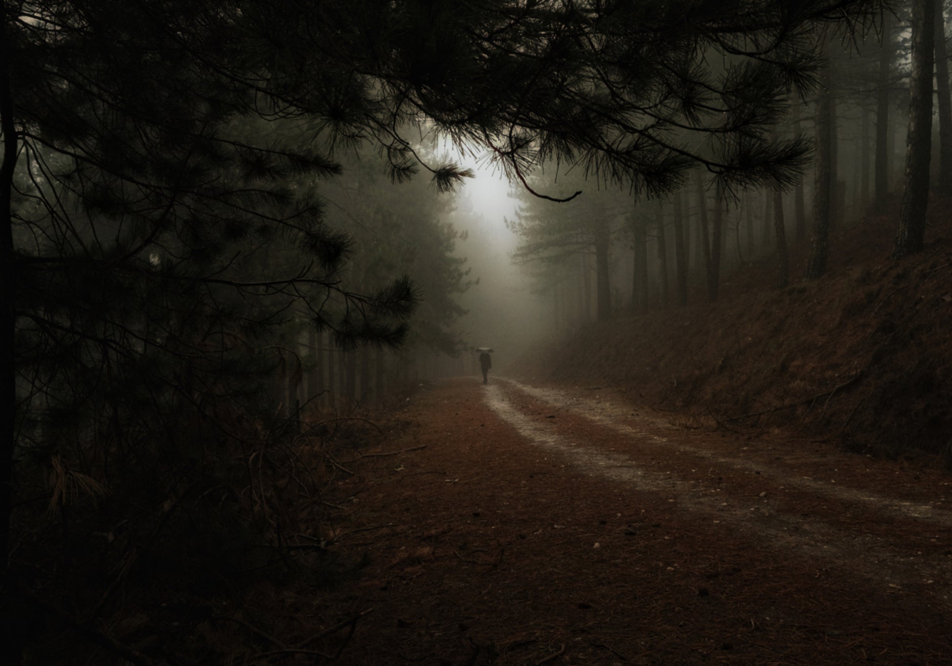 Caminho da Floresta Enevoada