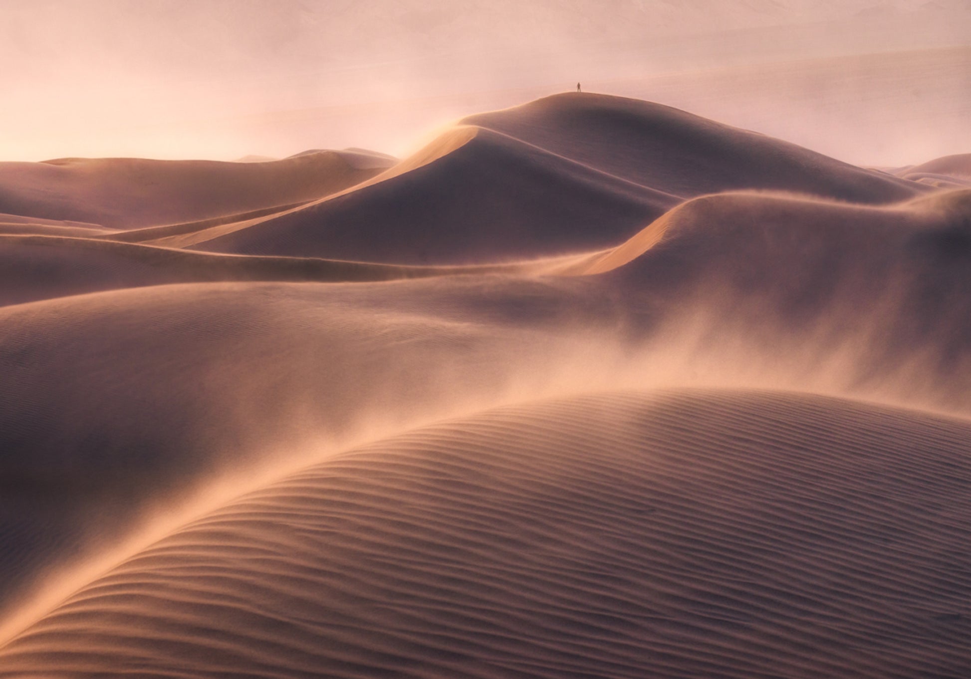Solidão do Deserto Dourado