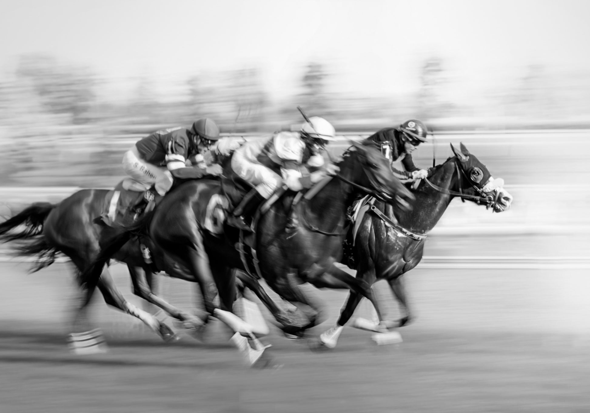 Cavalos de corrida galopando