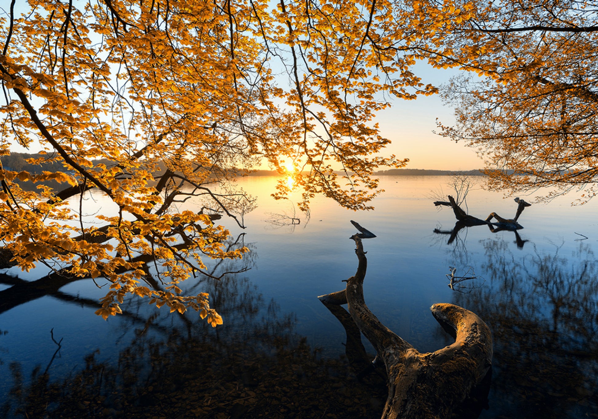 Nascer do sol dourado do lago outono
