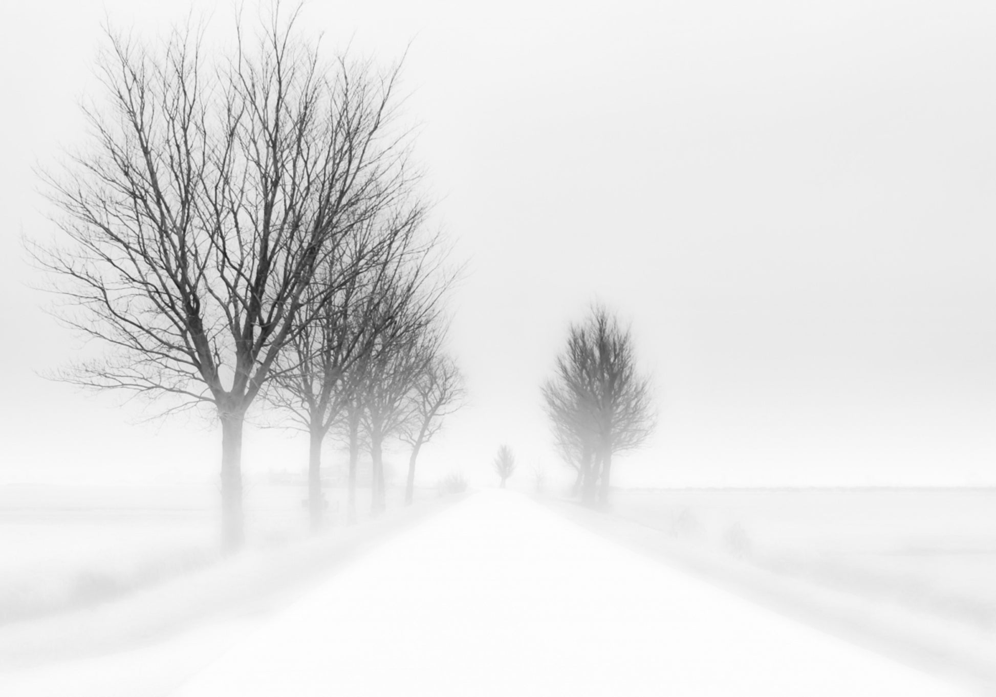 Estrada enevoada de inverno