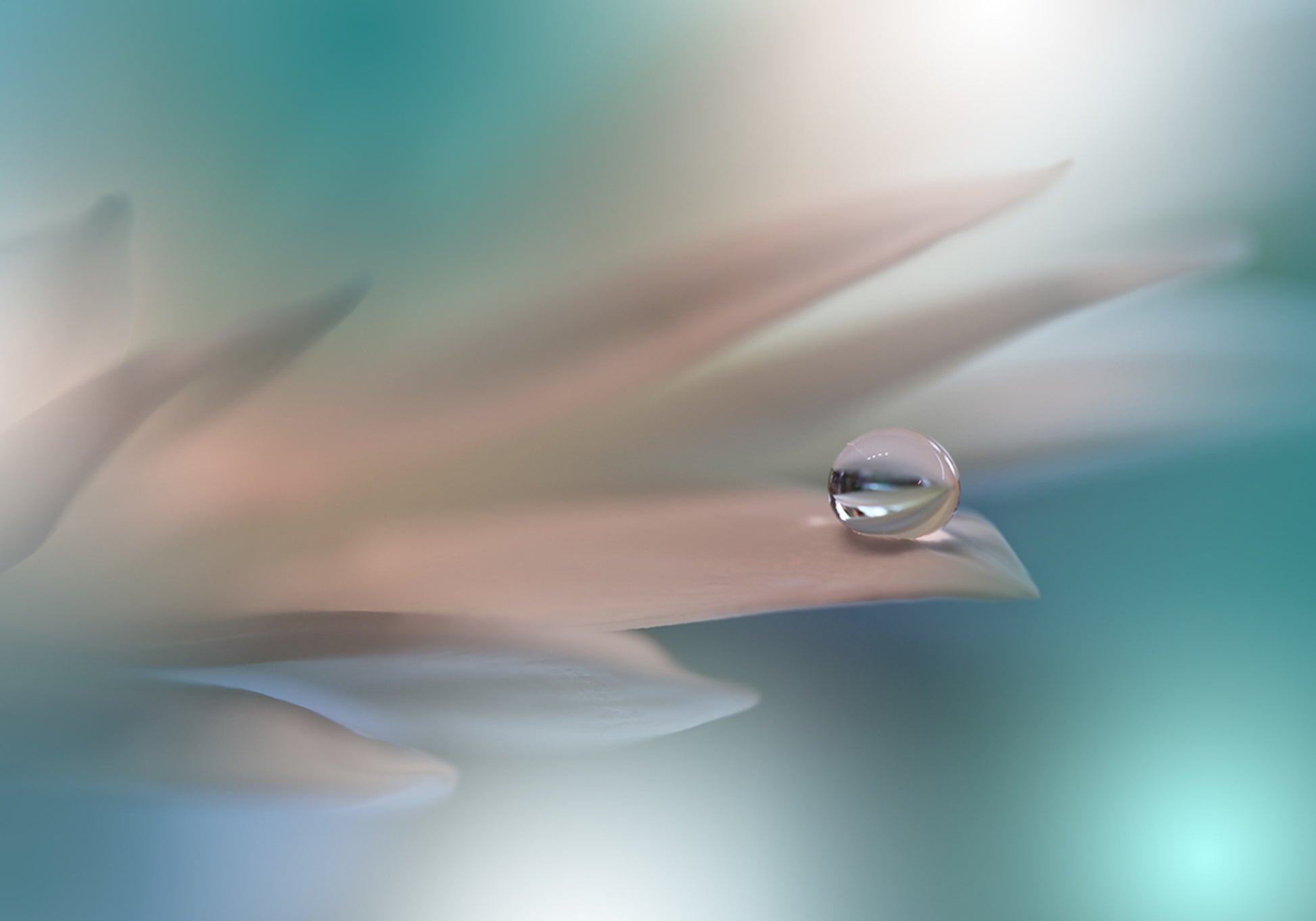 Gota de água delicada