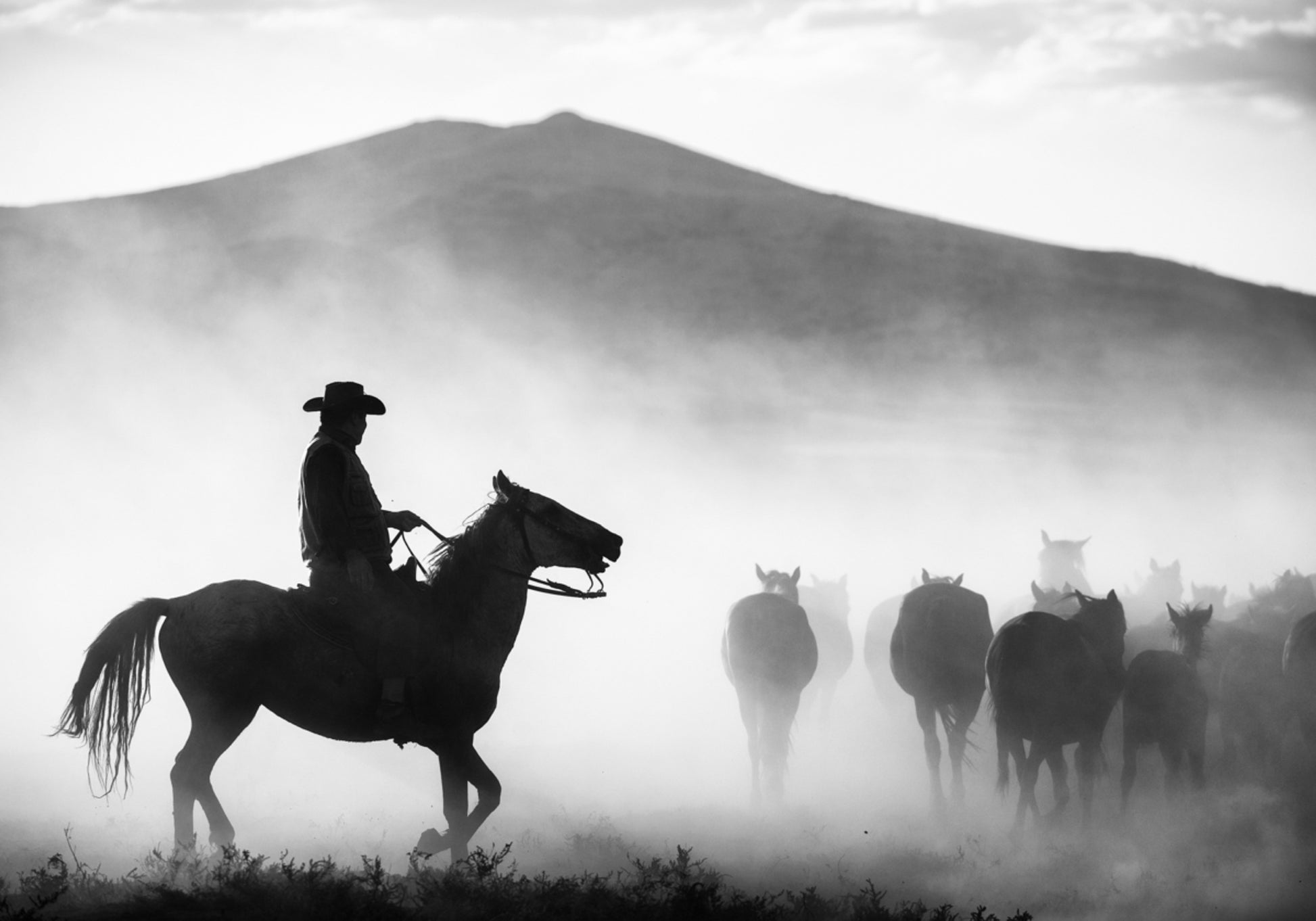 Cowboy pastoreando cavalos