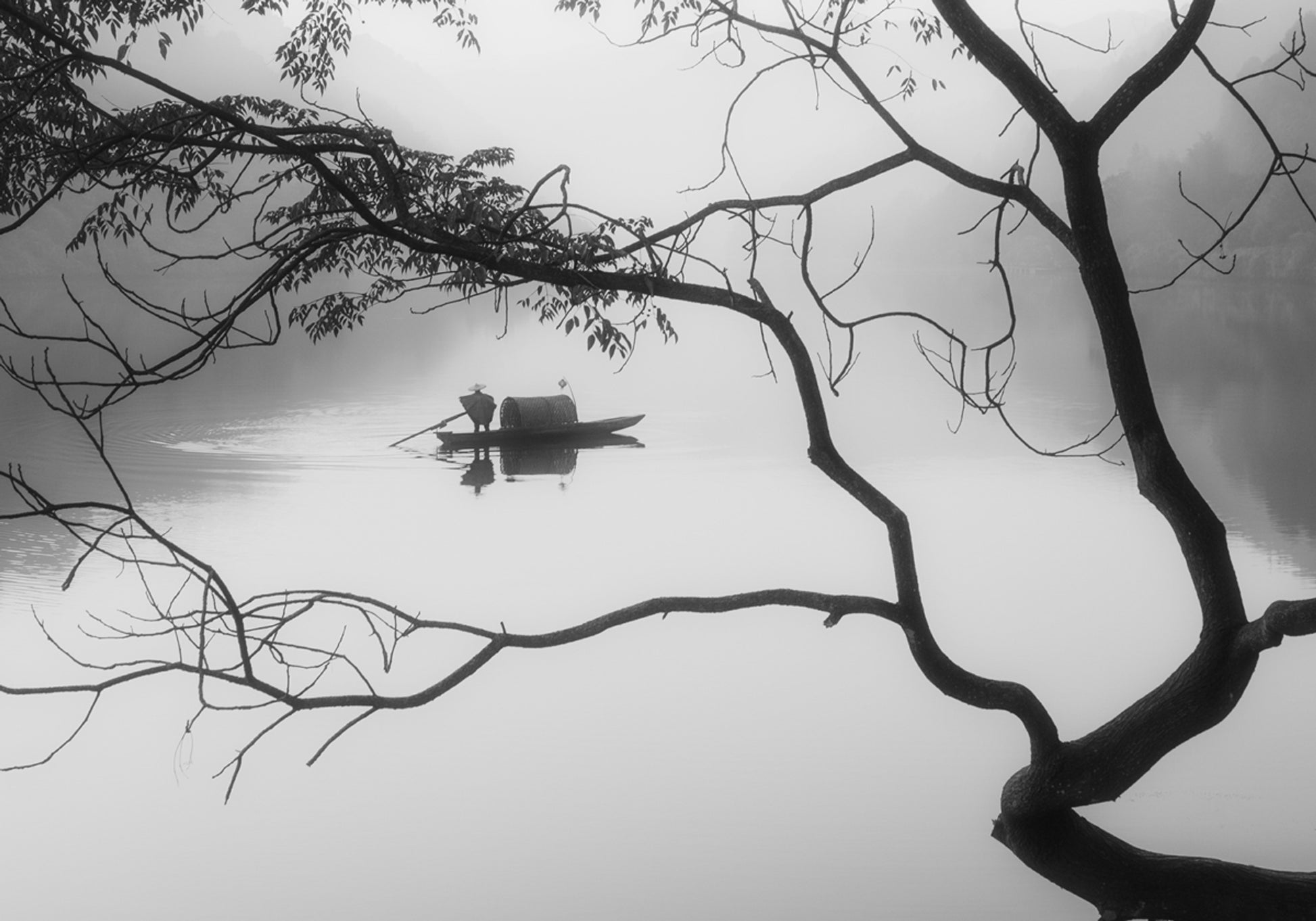 Névoa do Barqueiro Solitário