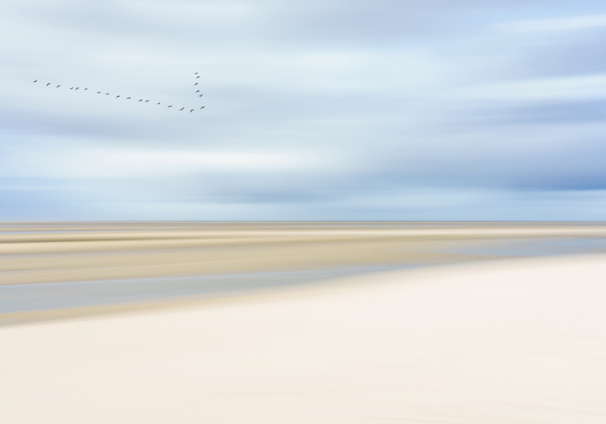 Pássaros sobre a costa serena