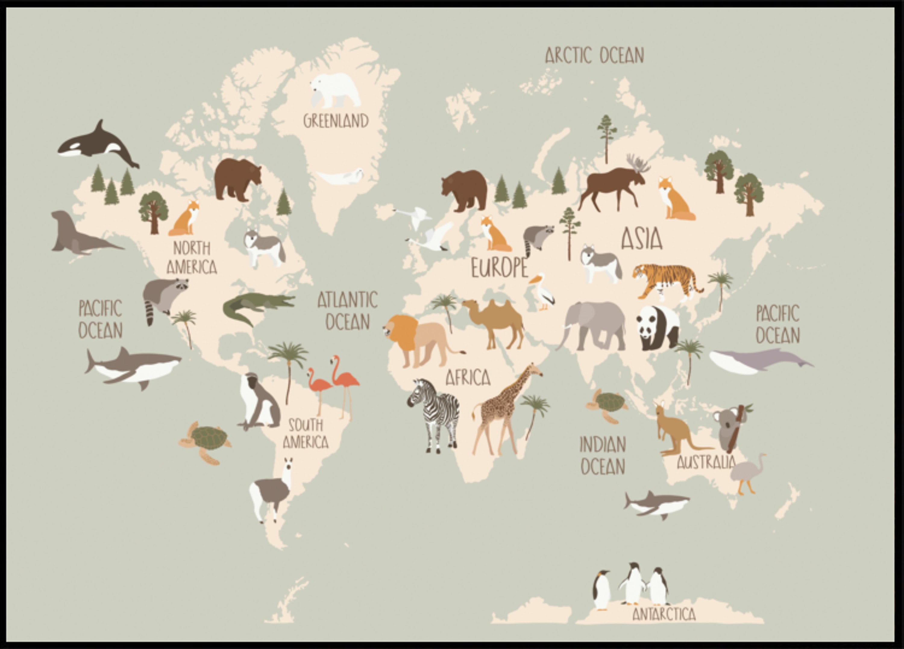 Mapa Mundial da Vida Selvagem