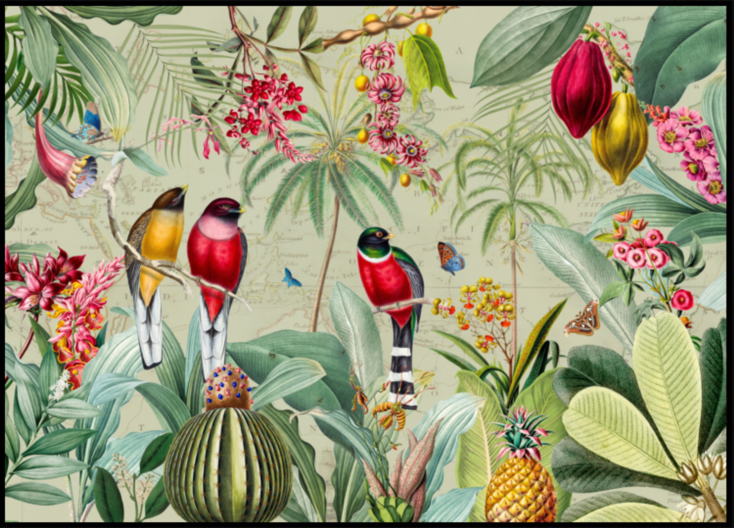 Aves da selva tropical