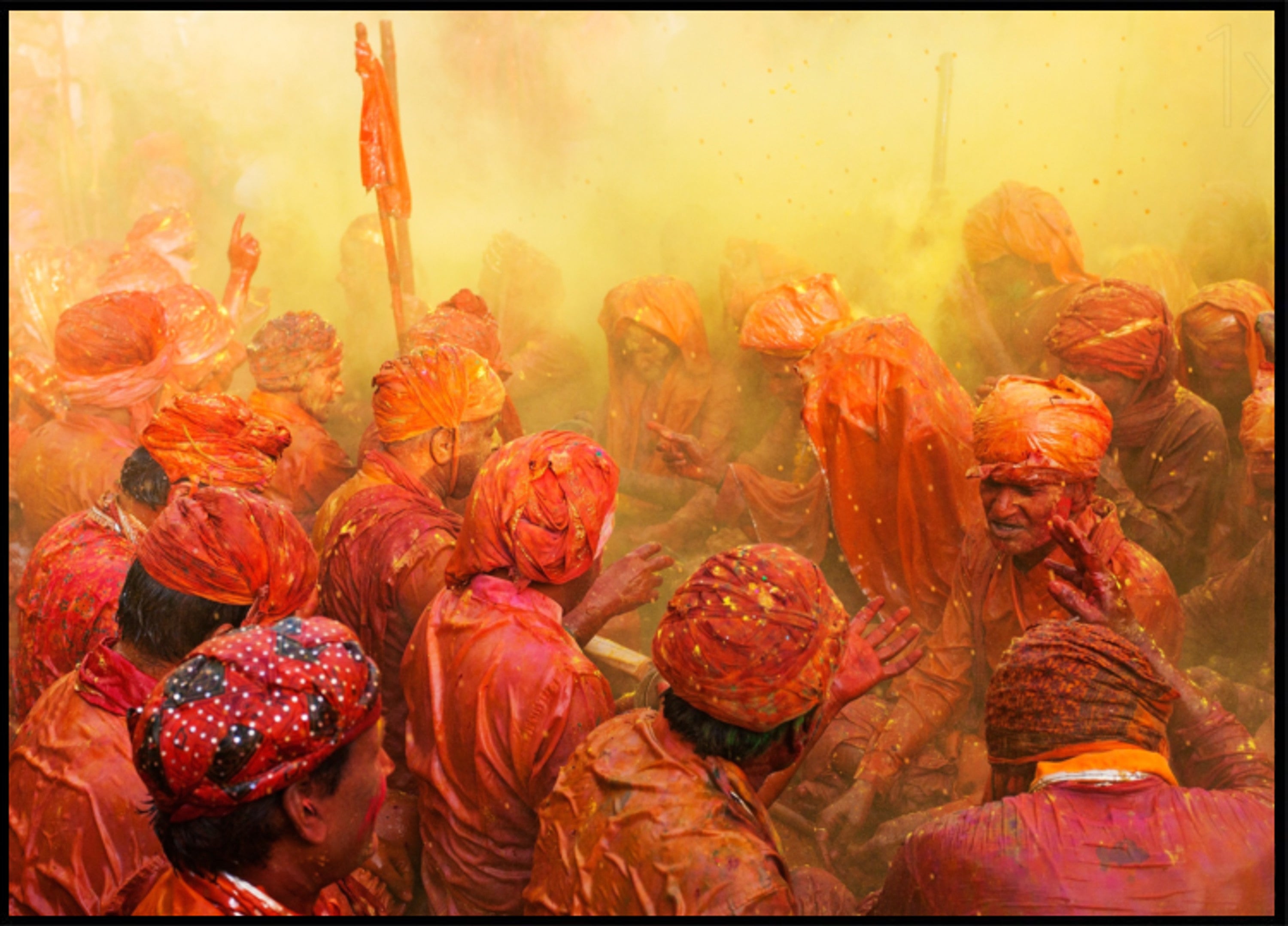 Celebração vibrante de Holi