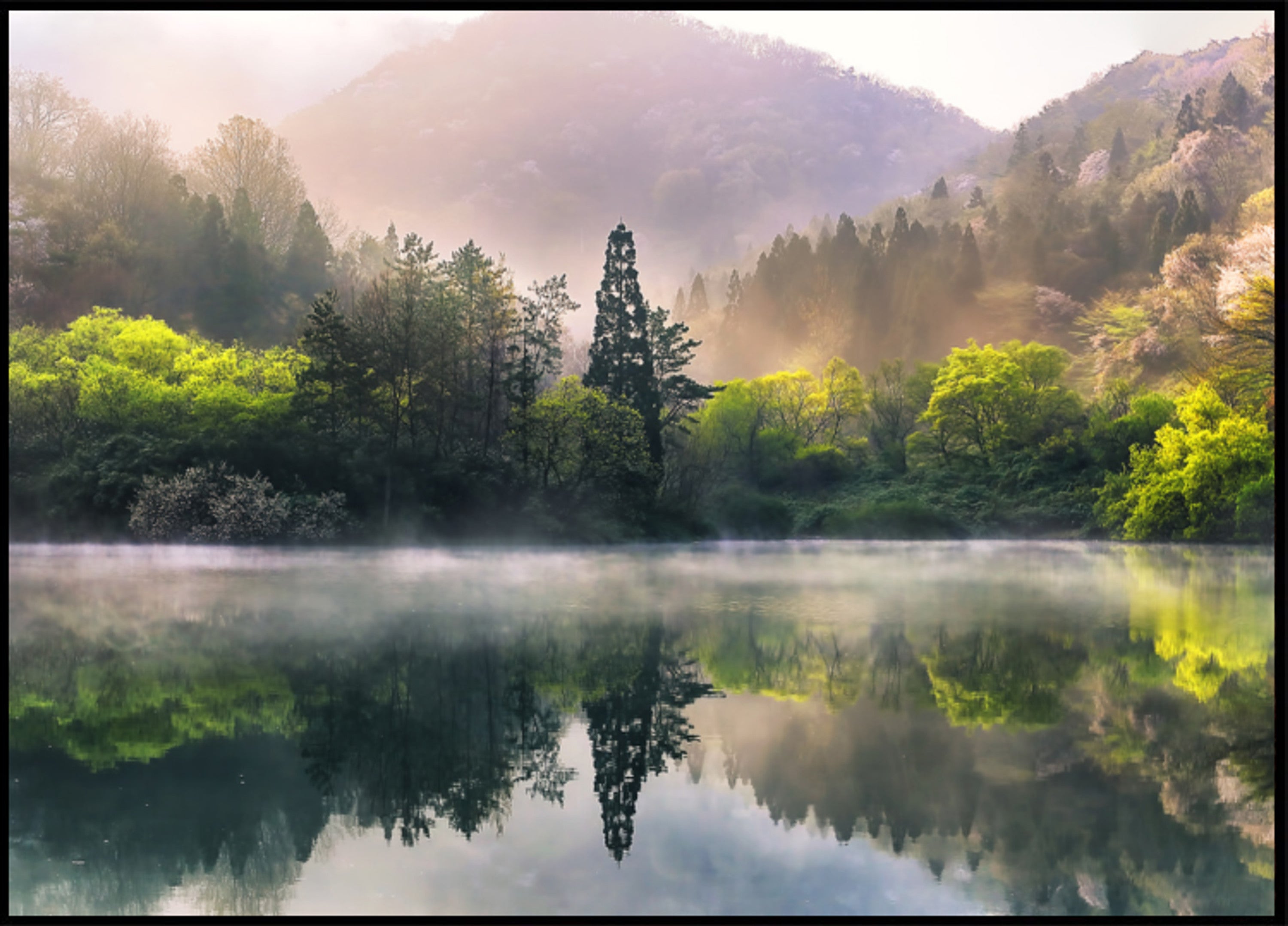 Reflexo do lago enevoado Spring