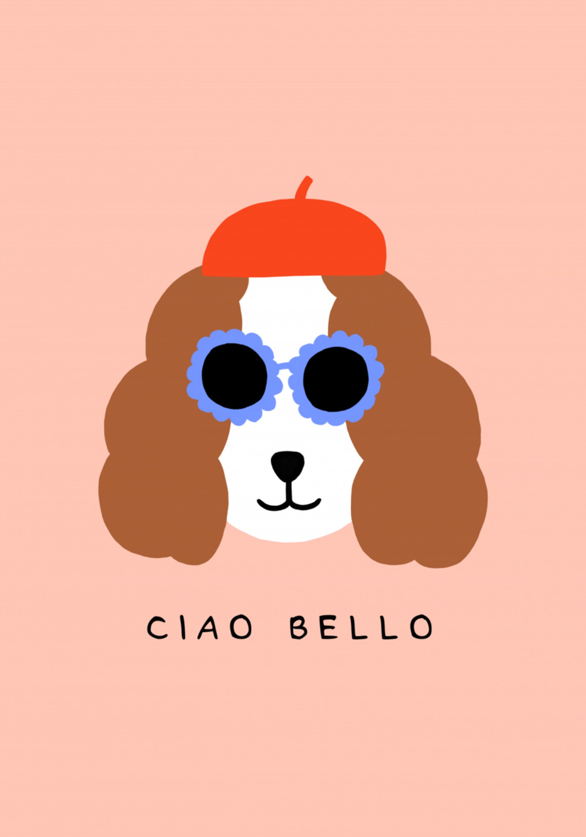 Tons elegantes de boina para cachorro