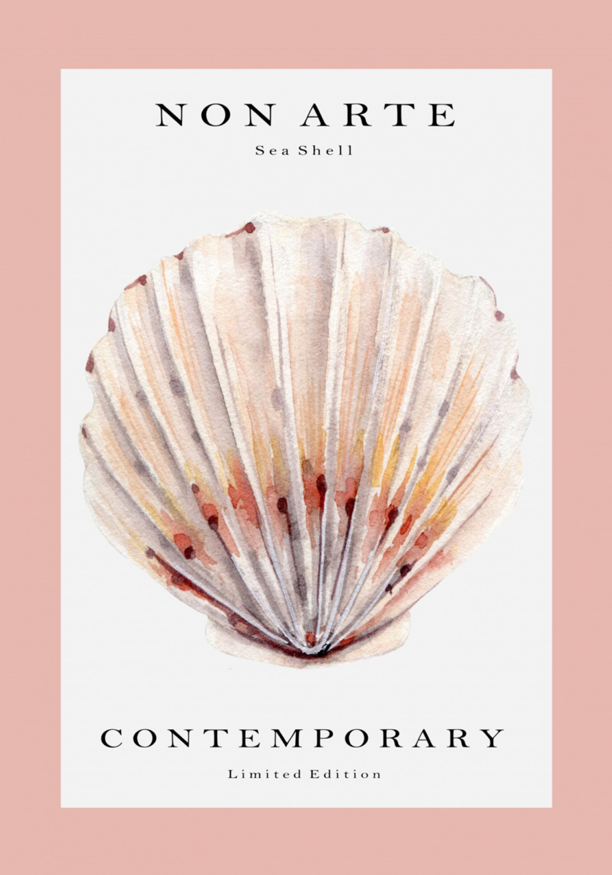 Concha de Vieira Aquarela
