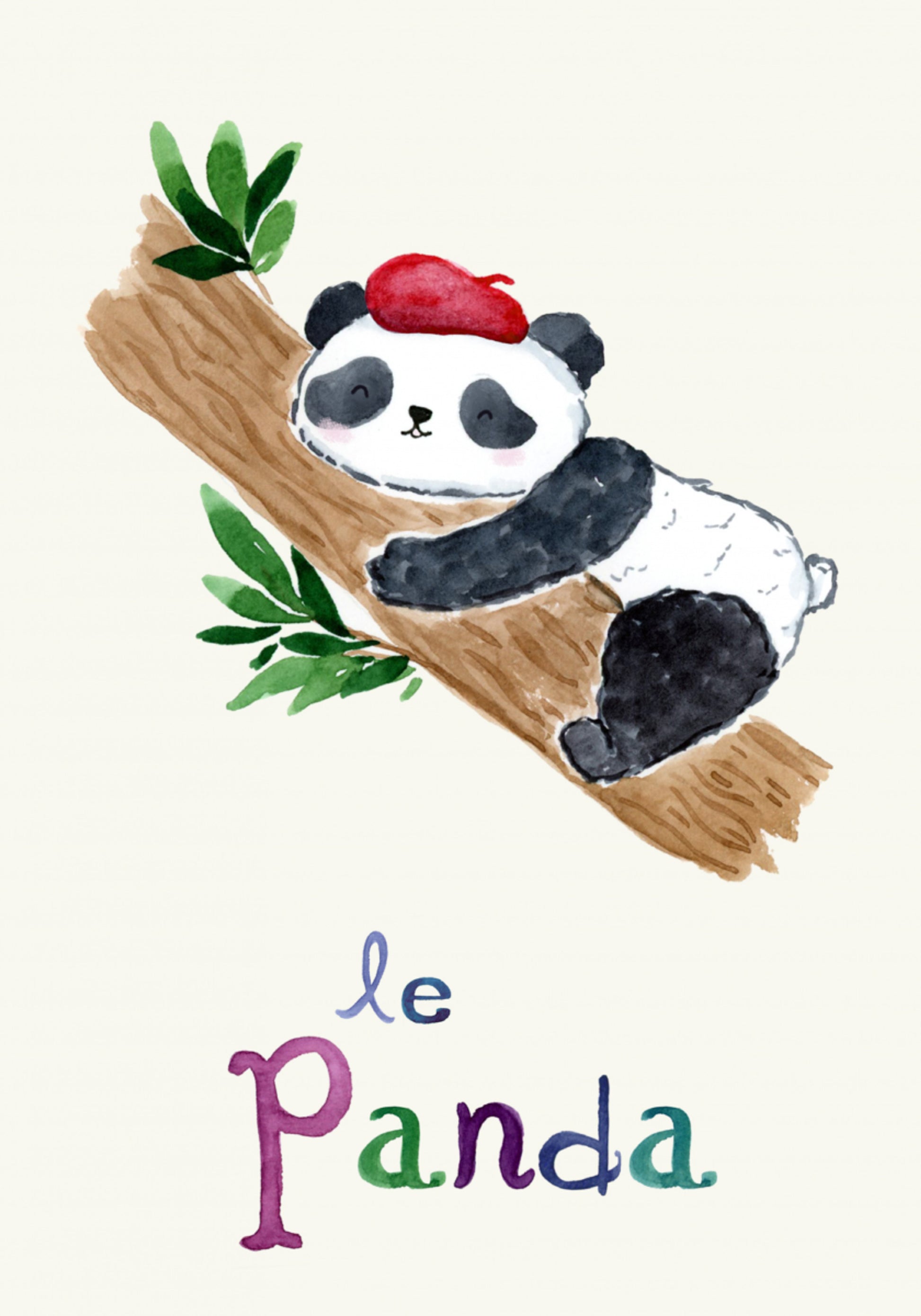 Panda Francês Adormecido