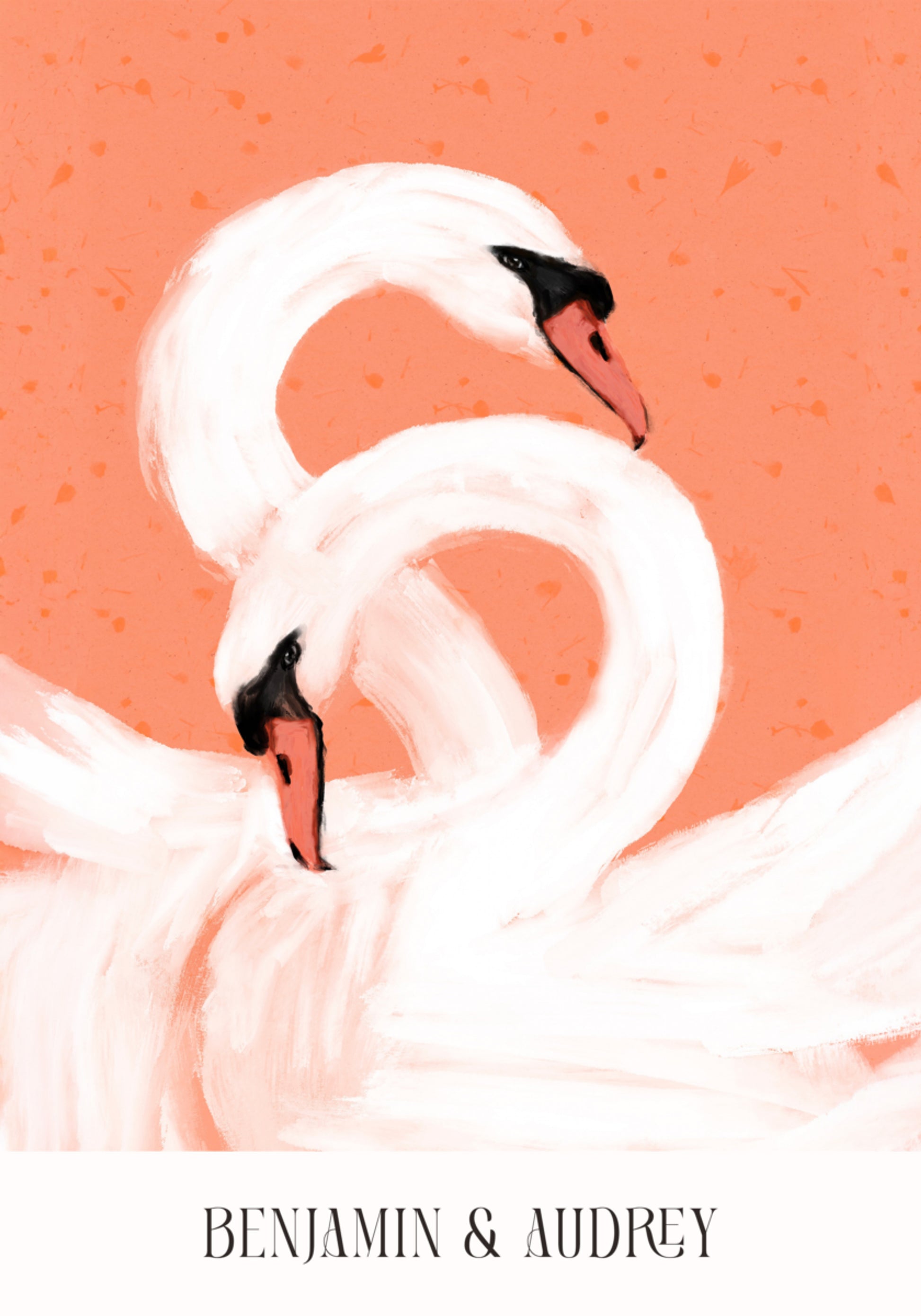Cisnes elegantes em fundo coral