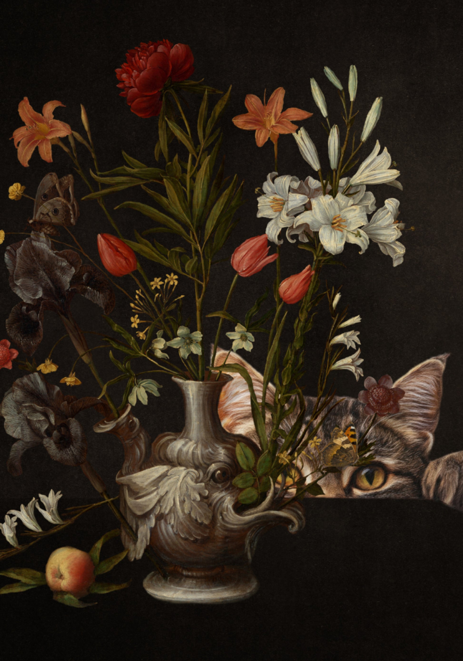 Flores de gato curioso