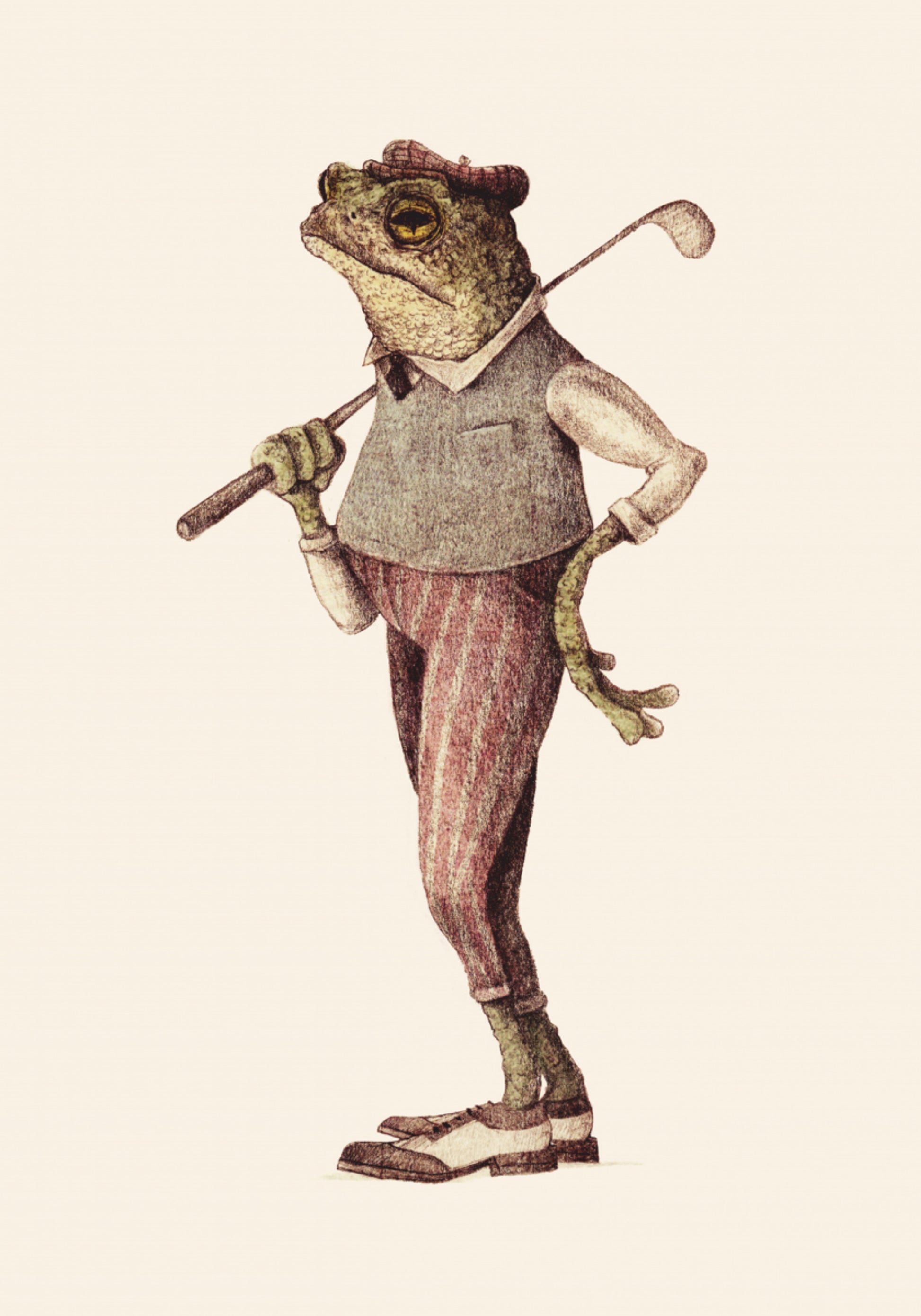 Sapo em traje de golfe vintage